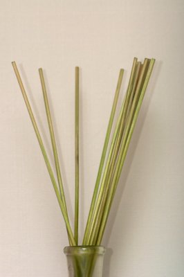 Zen attitude_4606969456_l.jpg